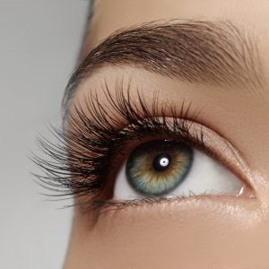 Wimpernlifting Schulung